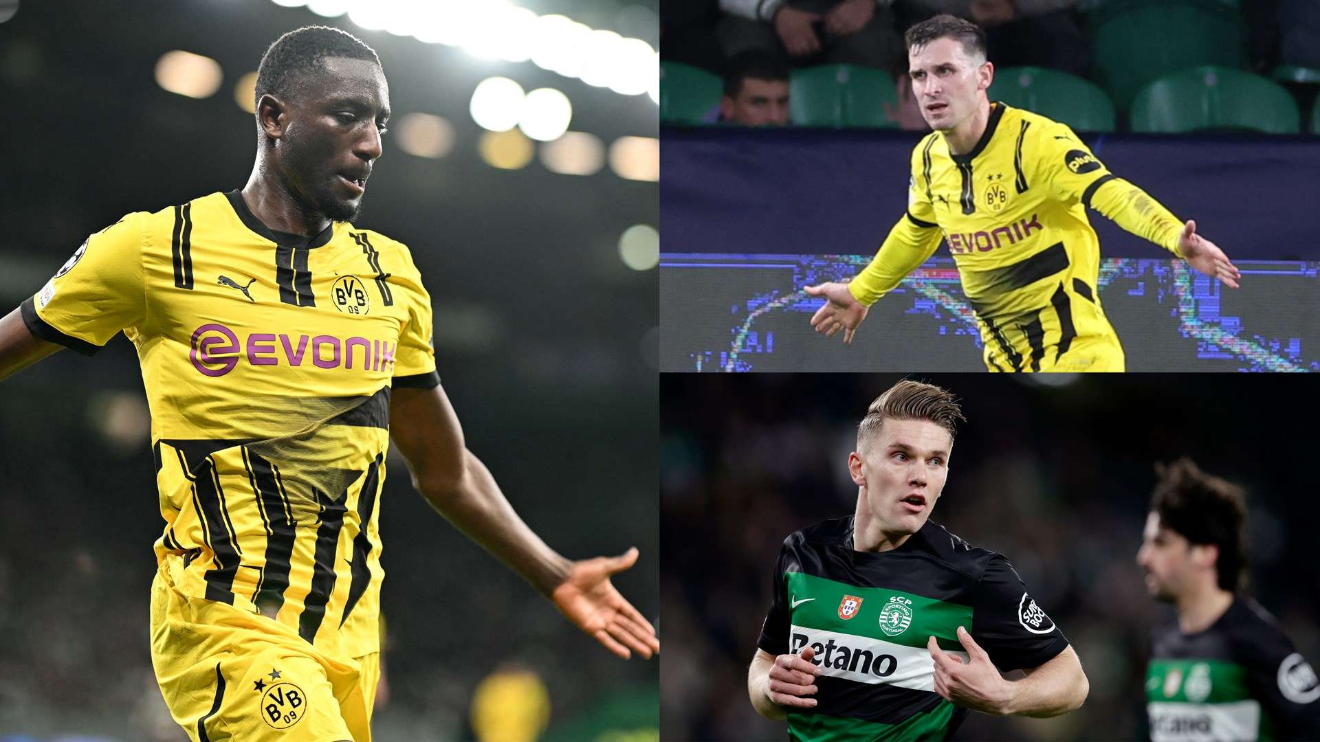 如何利用这 如何利用这