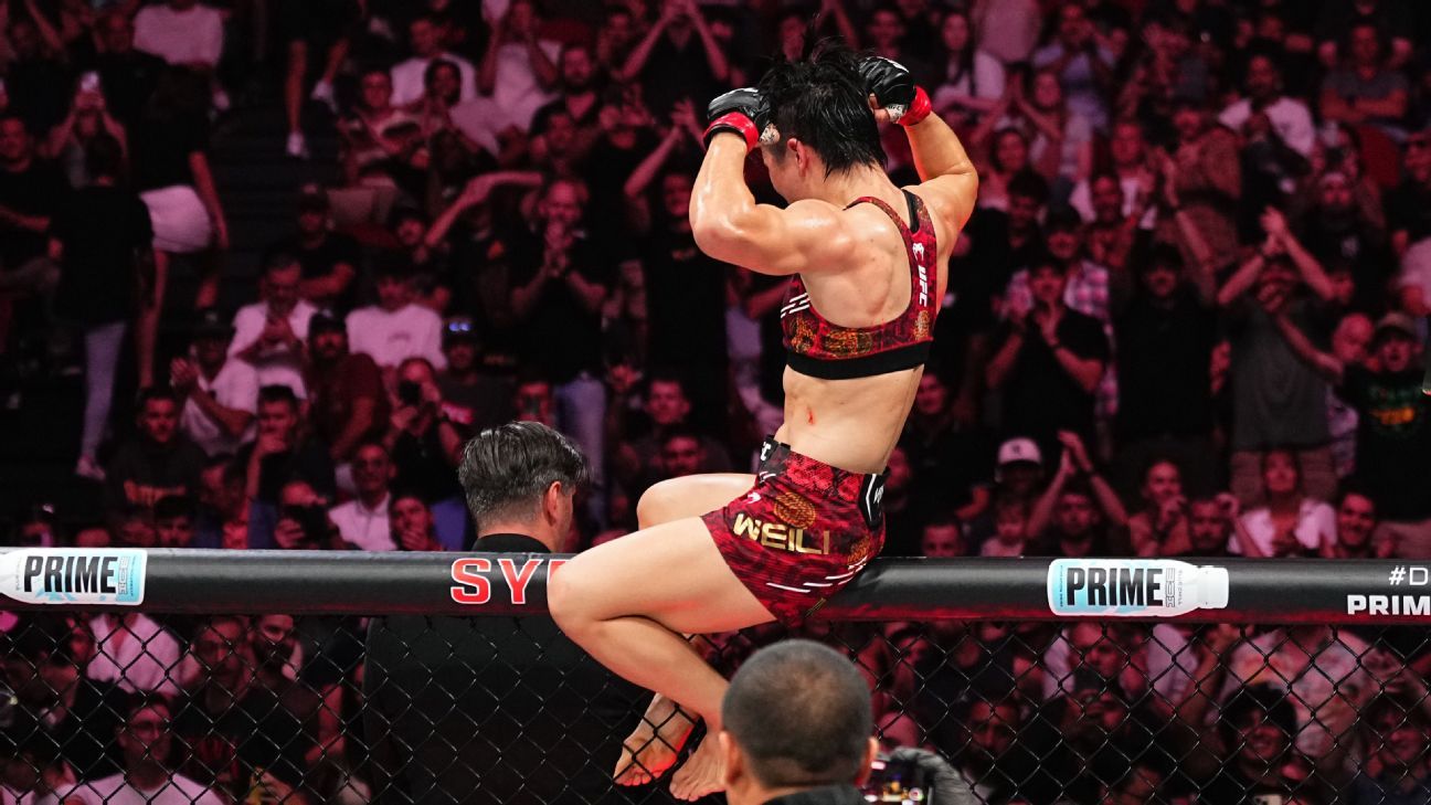 这种根植于 这种根植于