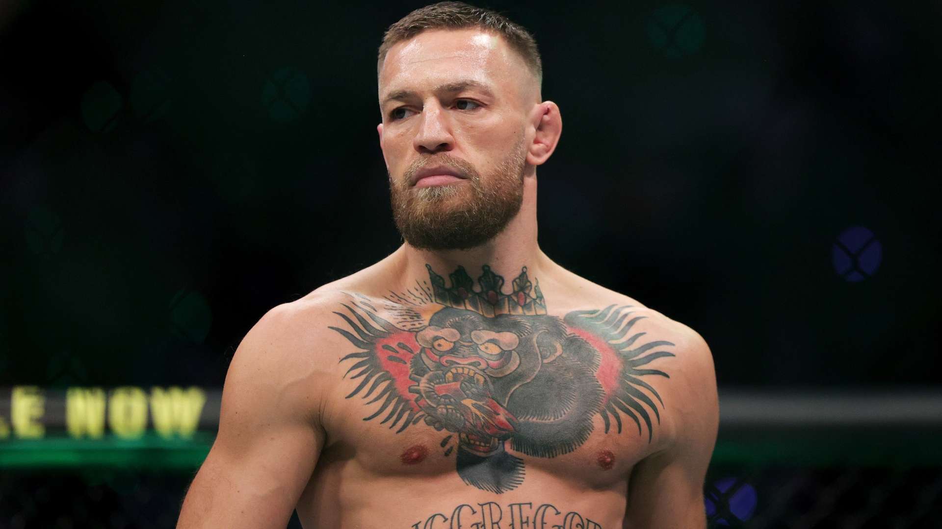 依然能够把 依然能够把